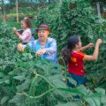 Acompañamiento que abre caminos en las escuelas
